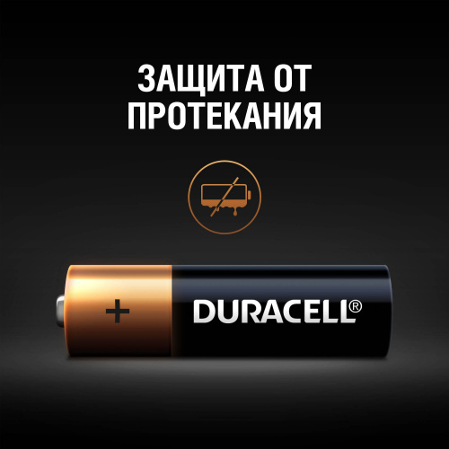 Duracell LR6-4BL BASIC CN (48/192/18816) фото 5