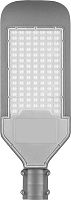 Светильник консольный 100LED*100W AC100-265V/ 50Hz, SP2924 цвет серый (IP65), Feron