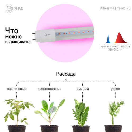 Фитолампа для растений светодиодная ЭРА FITO-18W-RB-Т8-G13-NL и мясных прилавков 18 Вт Т8 G13 красно фото 6