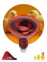 Инфракрасная лампа ЭРА ИКЗК 230-150 R127 кратность 1 шт Е27 / E27 для обогрева животных и освещения 