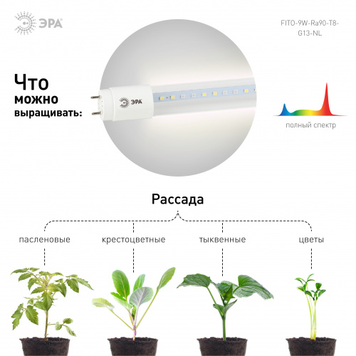 Фитолампа для растений светодиодная ЭРА FITO-9W-Ra90-Т8-G13-NL полного спектра 9 Вт Т8 G13 фото 5