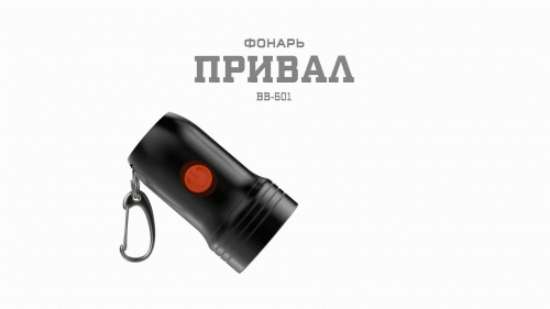 Фонарик брелок светодиодный АРМИЯ РОССИИ BB-601 для ключей карабин рефлектор открывашка на батарейка фото 3