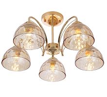 Люстра Rivoli Terri 9172-305 5 х Е27 40 Вт модерн
