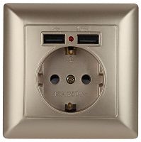 4-410-04 Intro Розетка P+E Schuko со шторками, 16А-250В + 2хUSB, СУ, Solo, шампань (10/100/2500)