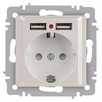 Розетка Intro Accent 6-410-06 , P+E Schuko со шторками, 16А-250В + 2хUSB, IP20, СУ, перламутр