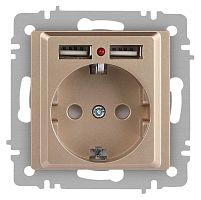 Розетка Intro Accent 6-410-04 , P+E Schuko со шторками, 16А-250В + 2хUSB, IP20, СУ, шампань