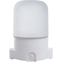 Светильник накладной прямой для бани и сауны IP65 , 230V 60Вт  Е27, НББ 01-60-001 FERON