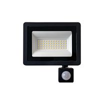 SFL80-50 с выносным датчиком 2835SMD 50W 6400K  AC220V/50Hz IP65, черный в компактном корпусе SAFFIT