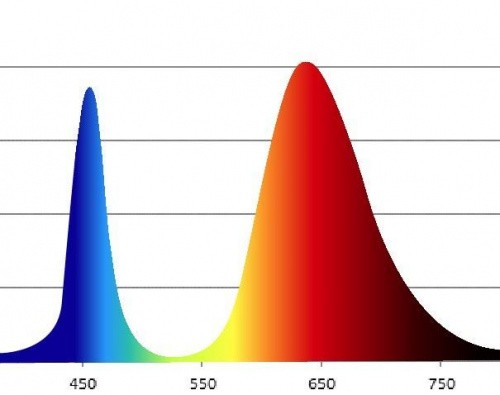 Фитолампа для растений светодиодная ЭРА FITO-14W-RB-E27-K красно-синего спектра 14 Вт Е27 фото 5