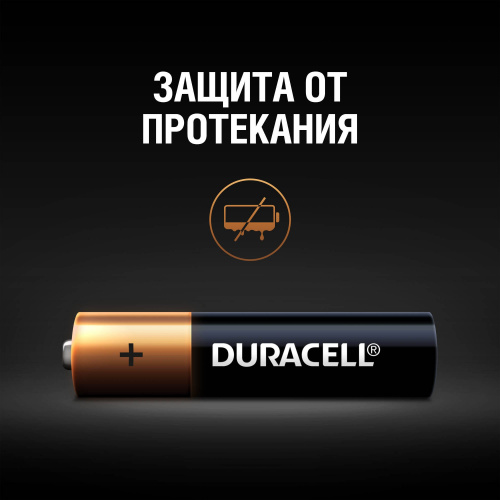 Duracell LR03-4BL BASIC NEW (4/40/33000) фото 3