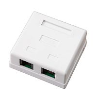 Розетка комбинированная внешняя, UTP RJ-45(8P8C) + RJ-11(6P-4C) REXANT
