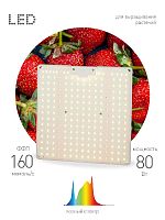 Квантум борд ЭРА FITO-80W-LED-QB Quantum board фитопрожектор полного спектра 80 Вт 3500К